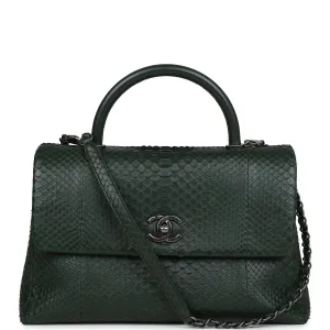 Chanel Medium Coco Handle Flap Bag Dark Green Python Ruthenium Hardware